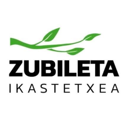 CEIP Zubileta HLHI
