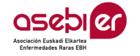 ASEBIER — Enfermedades Raras Euskadi