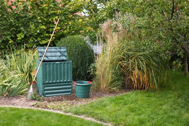 ECO-King verde — GRAF