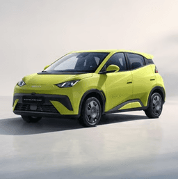 BYD DOLPHIN SURF Active