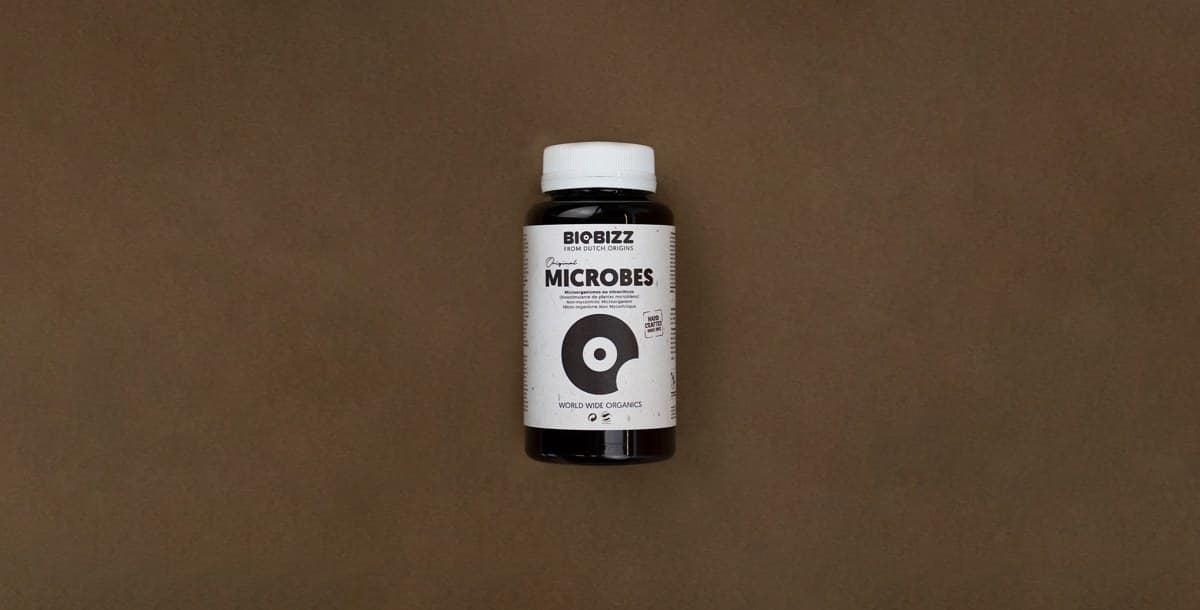 Microbes — Biobizz