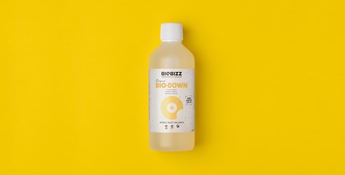 Bio·Down — Biobizz